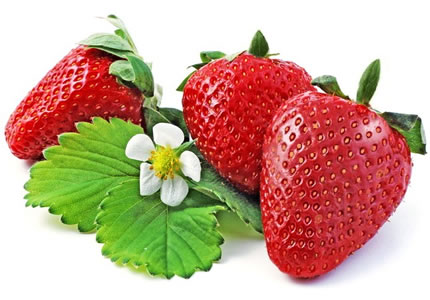 Erdbeeren